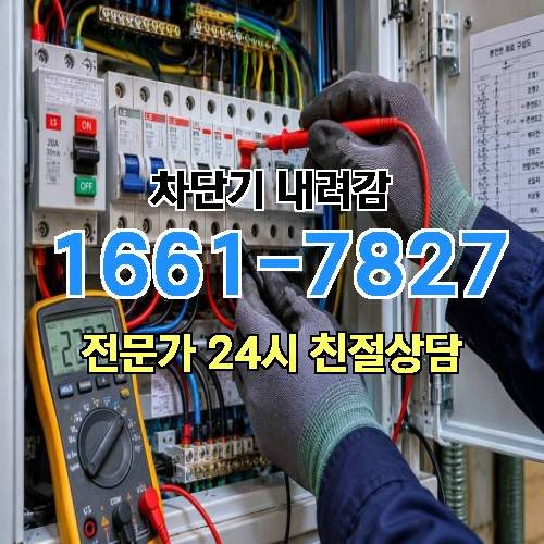 게시판 이미지 4355
