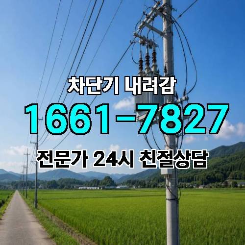 게시판 이미지 4656
