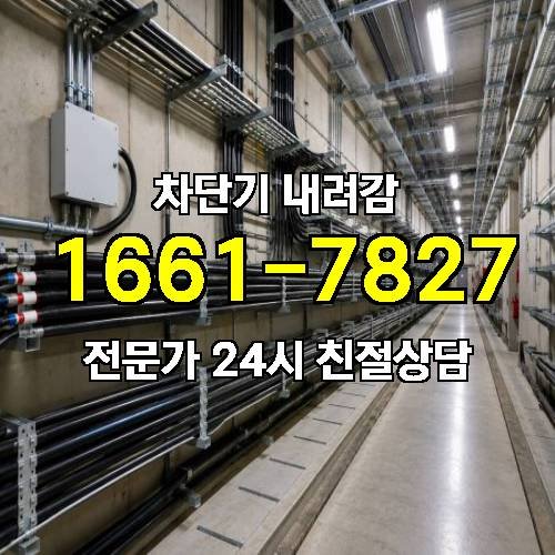 게시판 이미지 5117