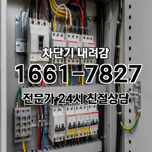 게시판 이미지 5381