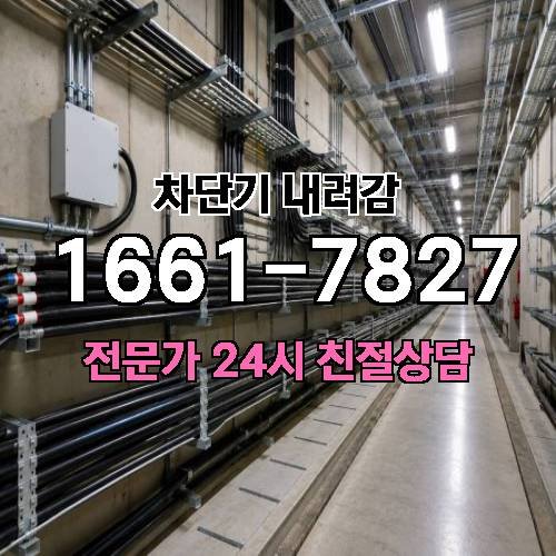 게시판 이미지 5590