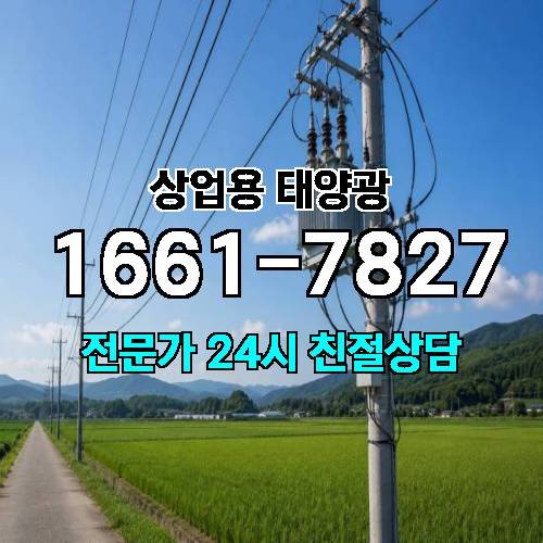 게시판 이미지 2374