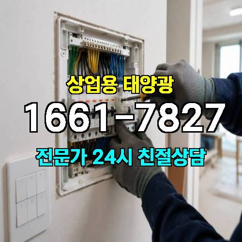 게시판 이미지 250