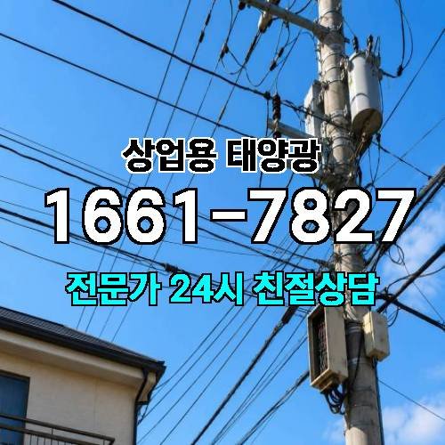 게시판 이미지 2924