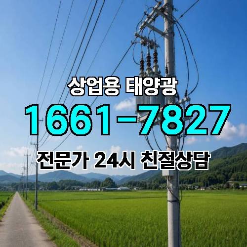 게시판 이미지 3617