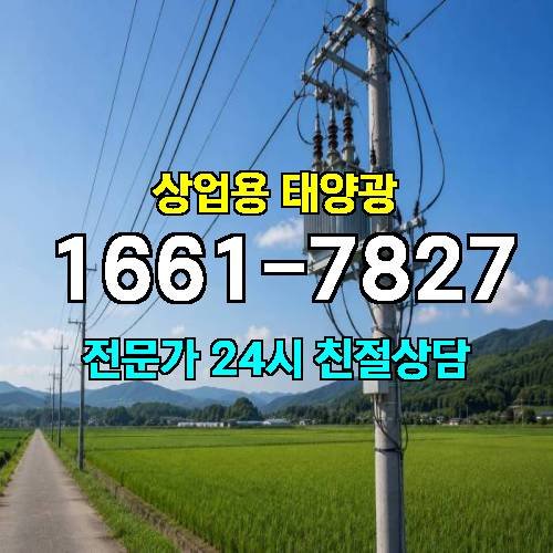 게시판 이미지 3641