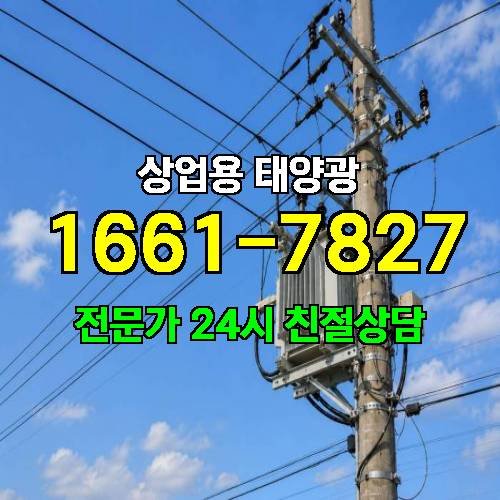 게시판 이미지 911