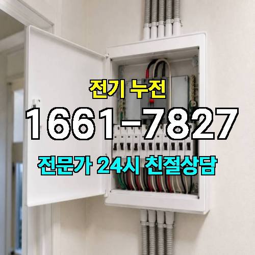게시판 이미지 7781