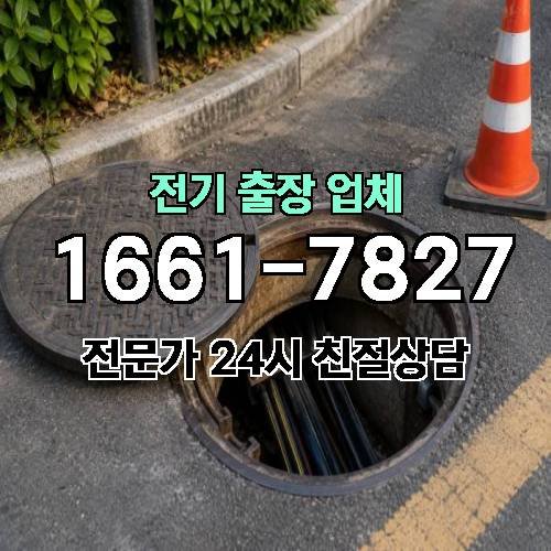 게시판 이미지 1981