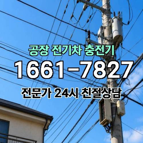 게시판 이미지 12491