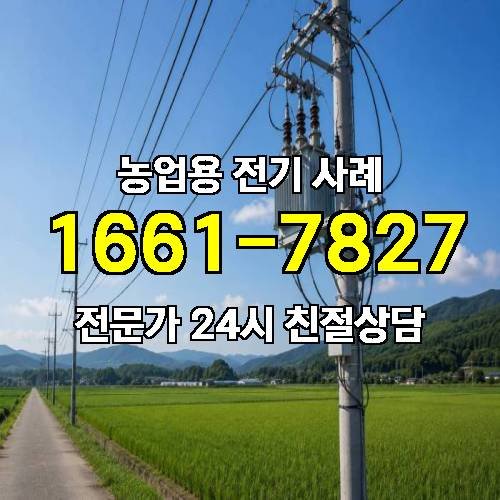 게시판 이미지 1681