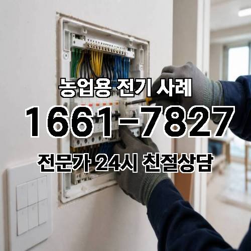 게시판 이미지 1988