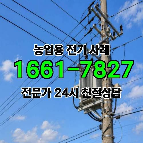 게시판 이미지 1991