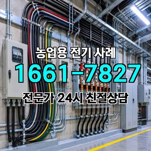 게시판 이미지 2582