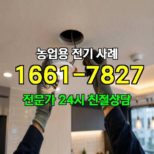 게시판 이미지 2746