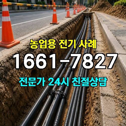 게시판 이미지 336