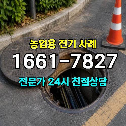 게시판 이미지 4189