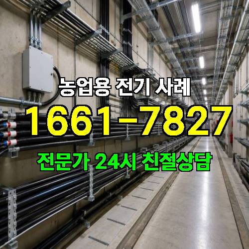 게시판 이미지 4327