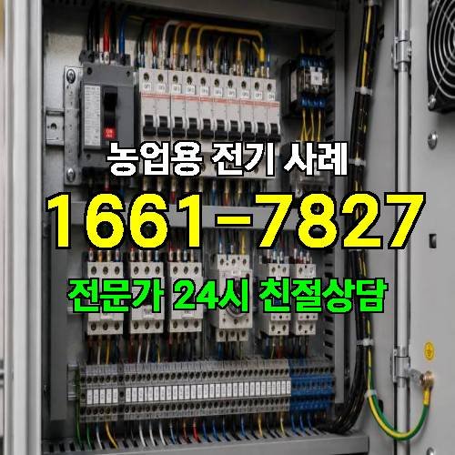 게시판 이미지 4356