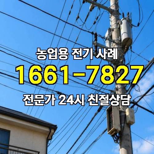 게시판 이미지 4358