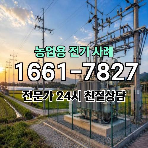 게시판 이미지 455