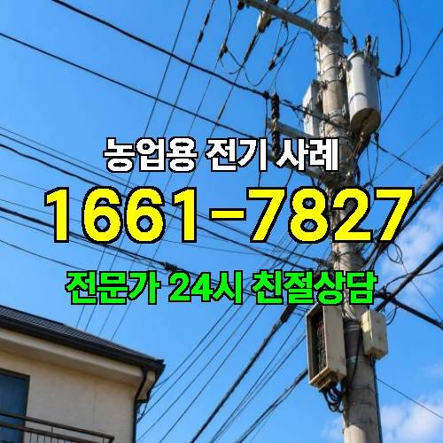게시판 이미지 4563