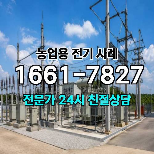 게시판 이미지 595
