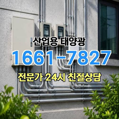 게시판 이미지 1536