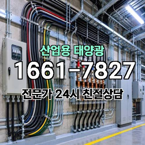 게시판 이미지 1965