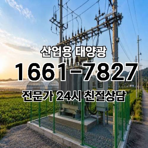 게시판 이미지 2126
