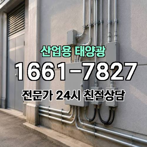 게시판 이미지 2212