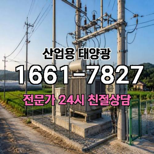 게시판 이미지 2542