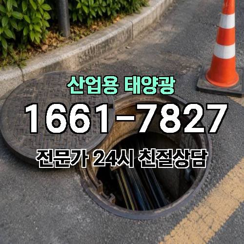 게시판 이미지 2767