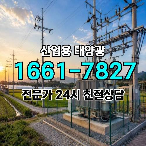 게시판 이미지 2858