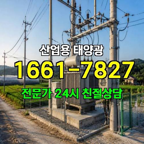 게시판 이미지 3017