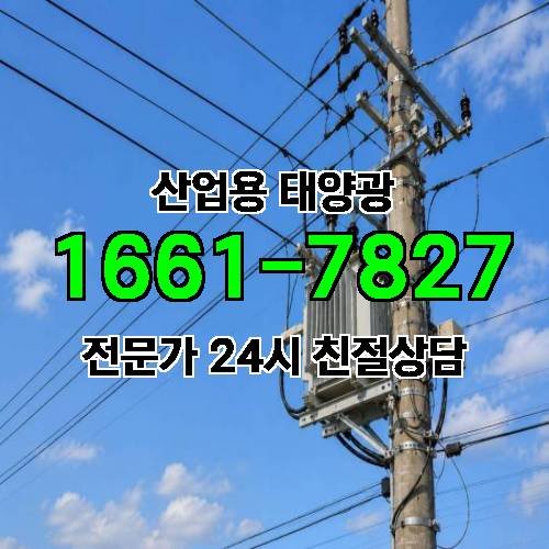 게시판 이미지 3075