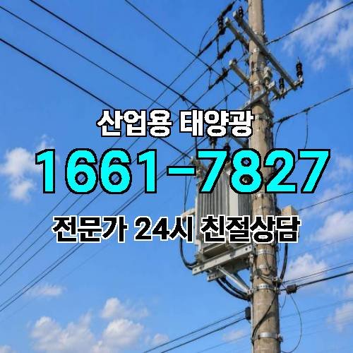 게시판 이미지 3152