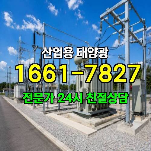 게시판 이미지 3186