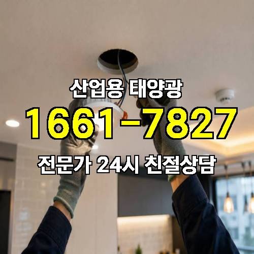 게시판 이미지 3189