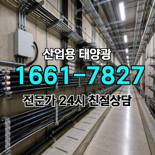 게시판 이미지 329