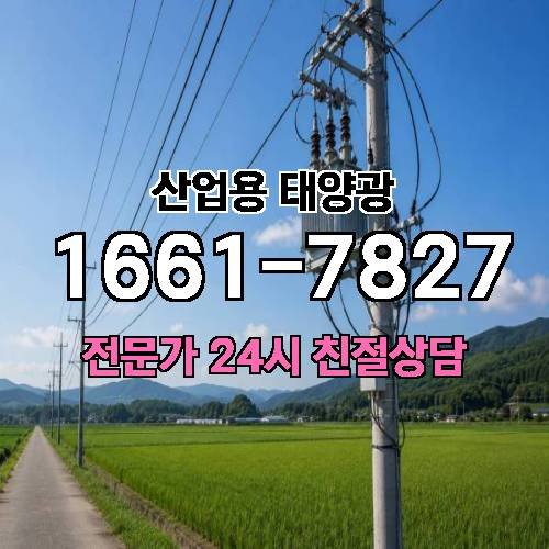 게시판 이미지 33