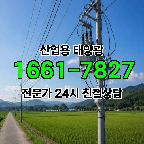 게시판 이미지 3929