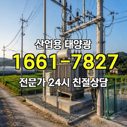 게시판 이미지 4235