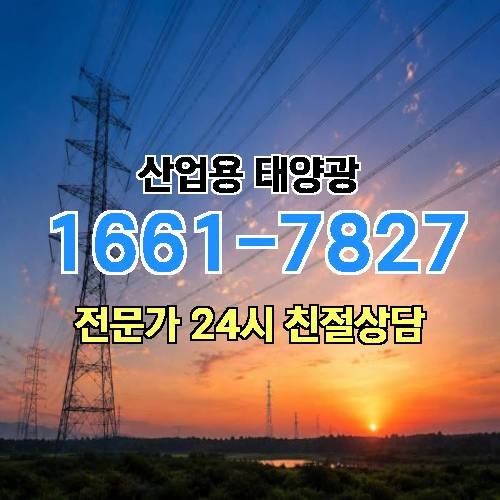 게시판 이미지 4254