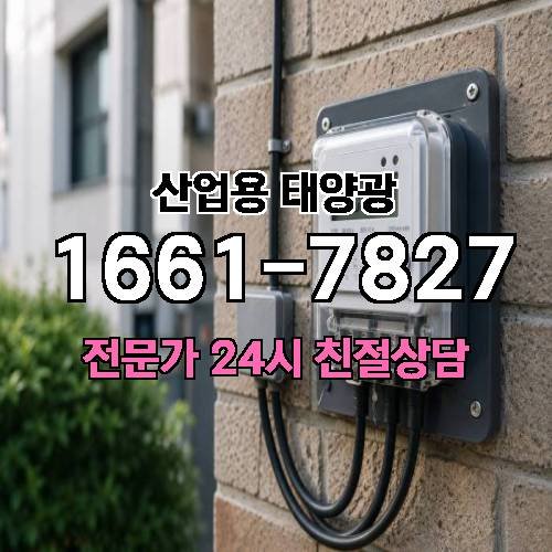 게시판 이미지 4255