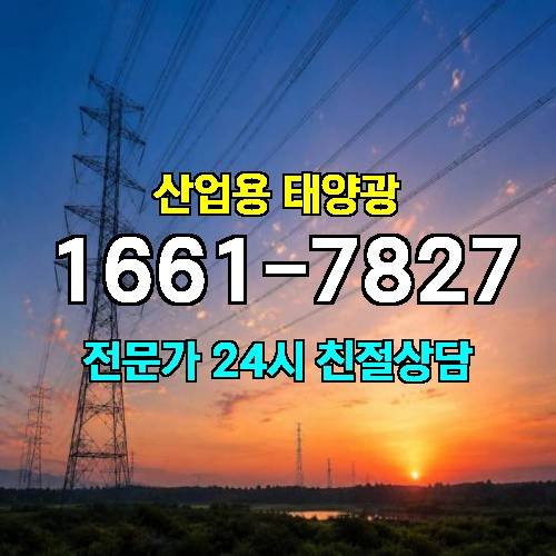 게시판 이미지 4263