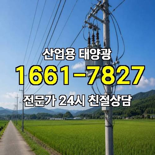 게시판 이미지 4289