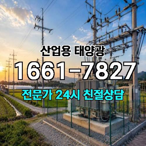 게시판 이미지 4355