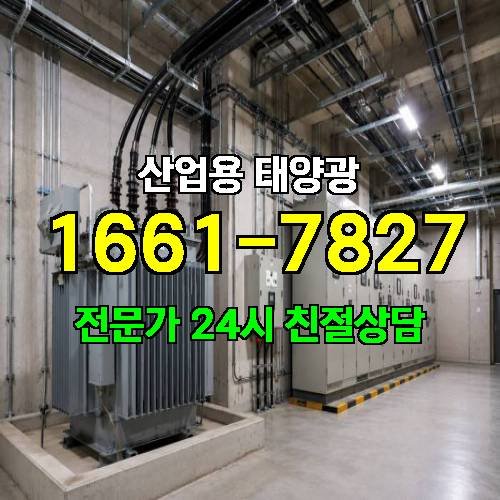 게시판 이미지 4381