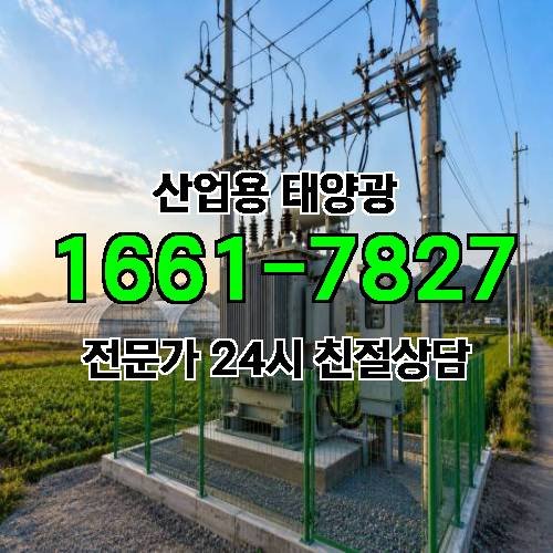 게시판 이미지 4515